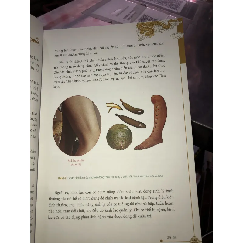 Cẩm nang dưỡng sinh thông kinh lạc  1029288