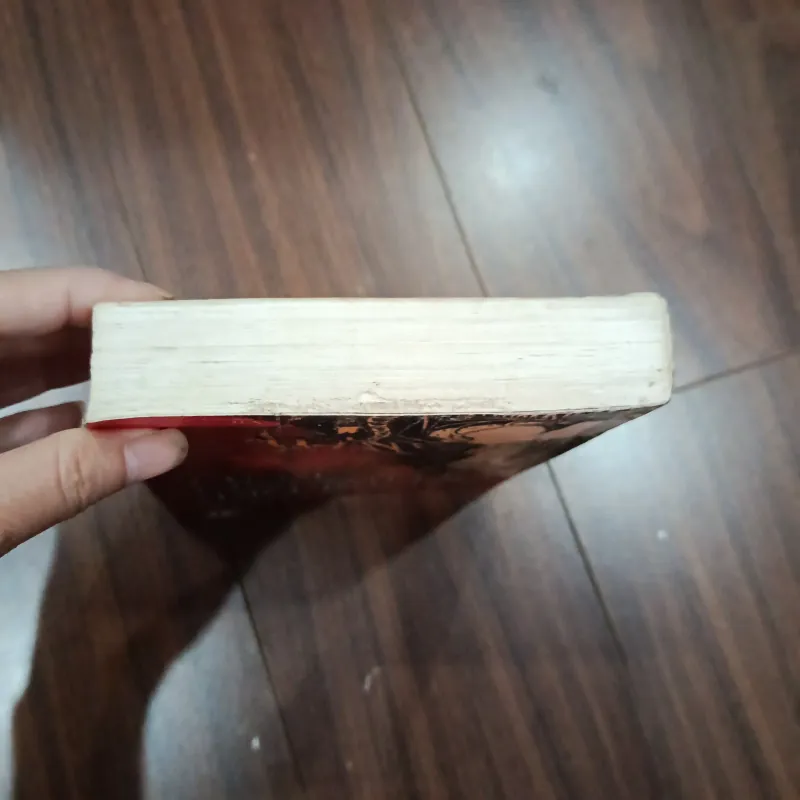 Người đẹp thượng lưu 932267