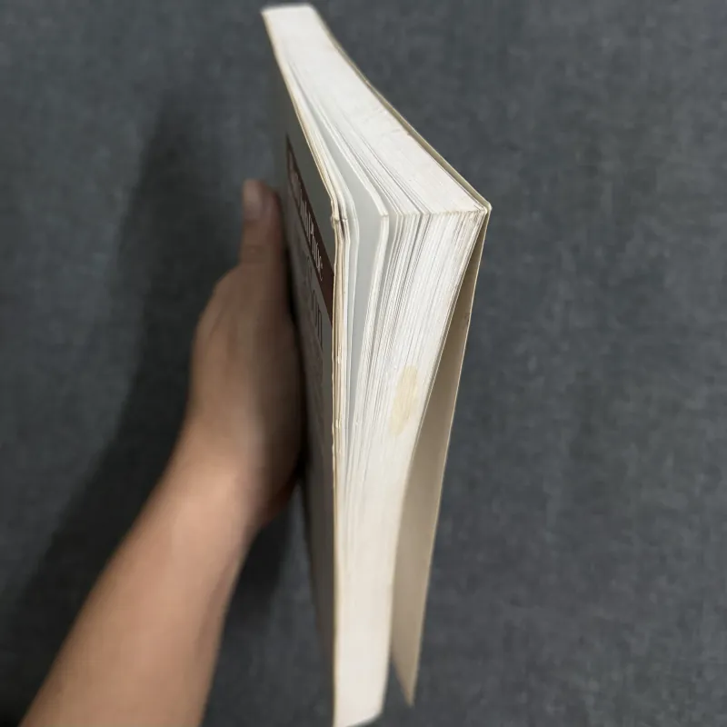 Trịnh Công Sơn: Ngôn ngữ & những ám ảnh nghệ thuật - Bùi Vĩnh Phúc 798071