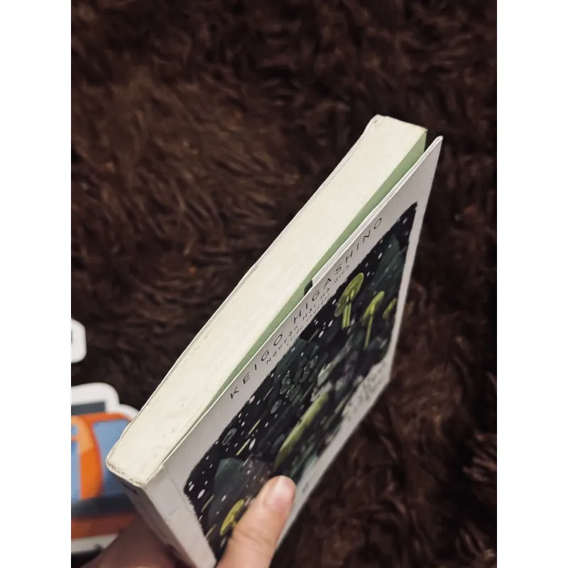 Cáp treo tình yêu 976550