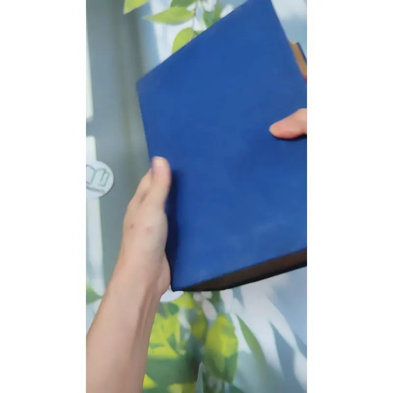 [MIỄN PHÍ BỌC SÁCH] Từ Điển Anh - Việt - Viện Ngôn Ngữ 750747