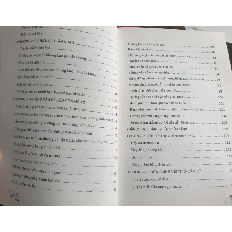 Sách Chữa lành nỗi đau - Phật Giáo Nguyên Thủy 660281