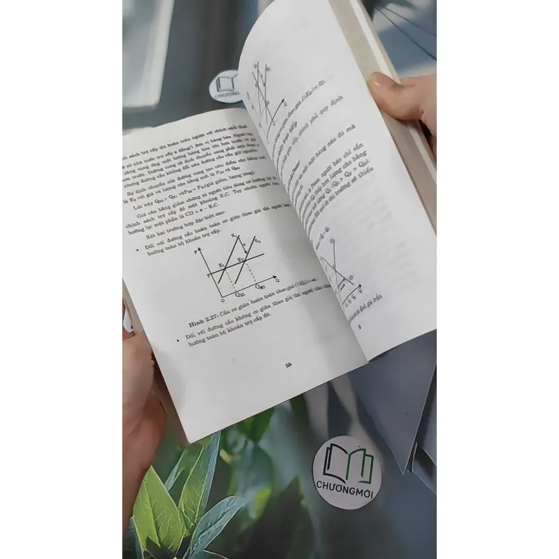 Kinh tế vi mô - Nguyễn Minh Tuấn & Võ Thị Thúy Hoa 1018853