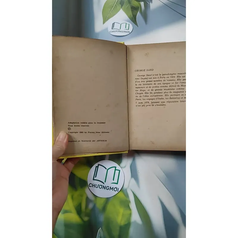 [MIỄN PHÍ BỌC SÁCH] La Petite Fadette - George Sand 749583