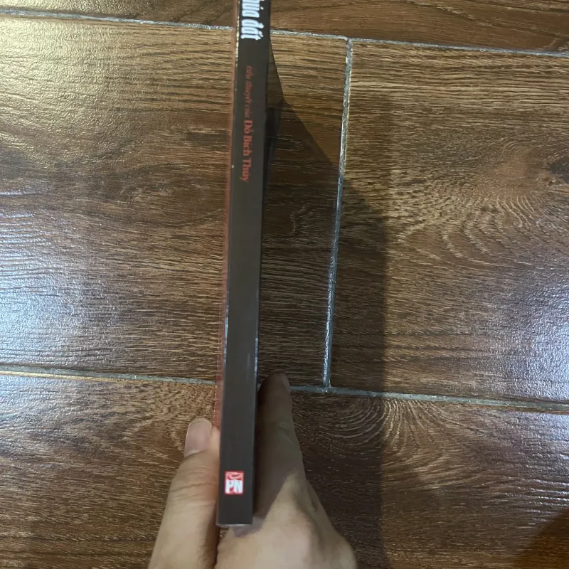 Chúa Đất- Đỗ Bích Thuỷ (c) 1012854