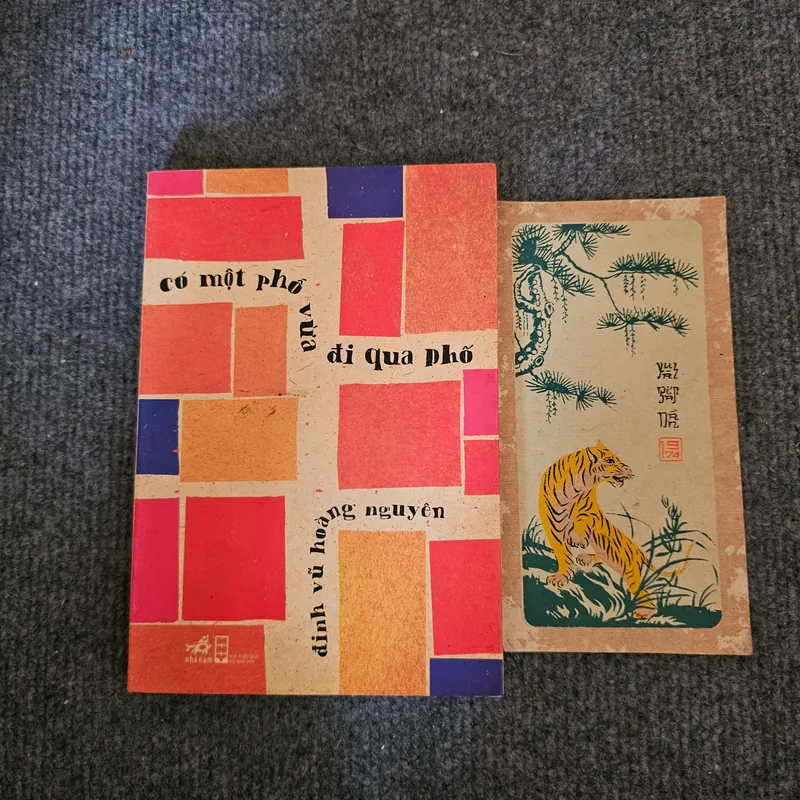 Có một phố vừa đi qua phố - Đinh Vũ Hoàng Nguyên 735177