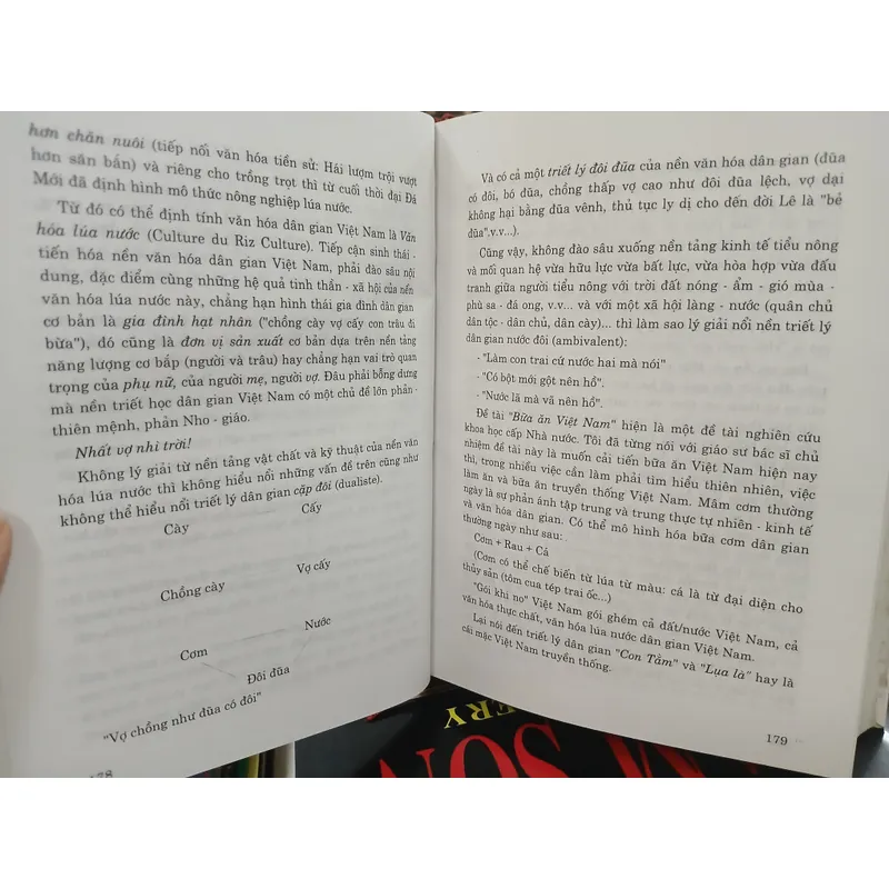 VĂN HÓA VIỆT NAM TÌM TÒI VÀ SUY NGẪM - TRẦN QUỐC VƯỢNG 720819