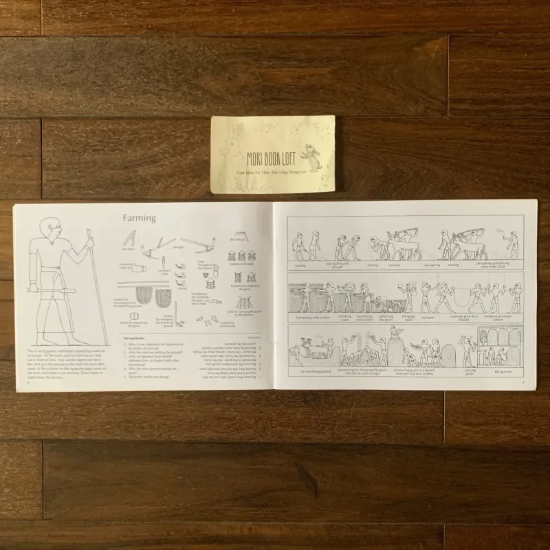 Sách ngoại văn set 4 cuốn Activity Books, Used, Bìa Mềm 756488