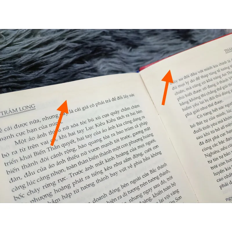 Trảm long (Hồng Trần) 968590