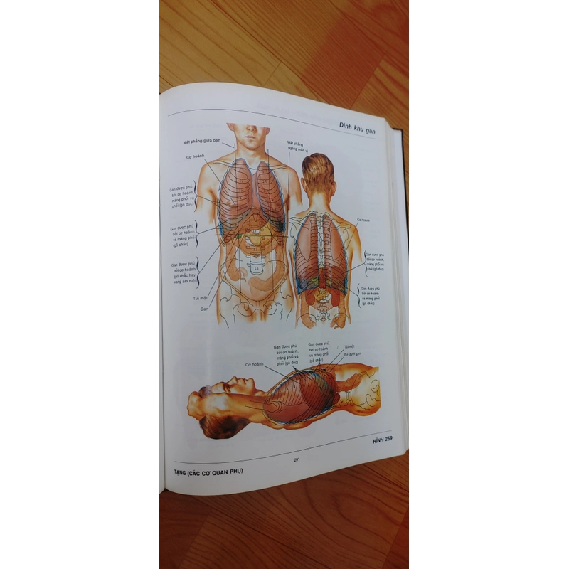 ATLAS GIẢI PHẪU NGƯỜI  541095