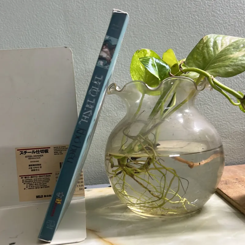 Bảo Bình khó hiểu 762815