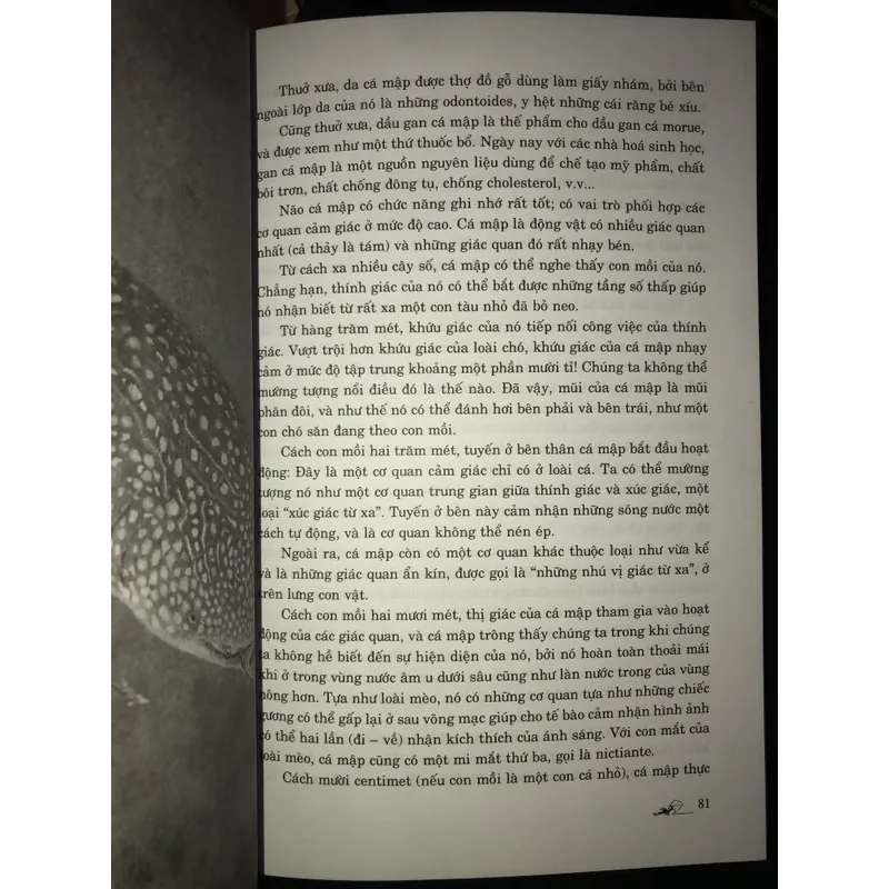 Biểu tượng và ý nghĩa của các loài thú trong thánh kinh  733494