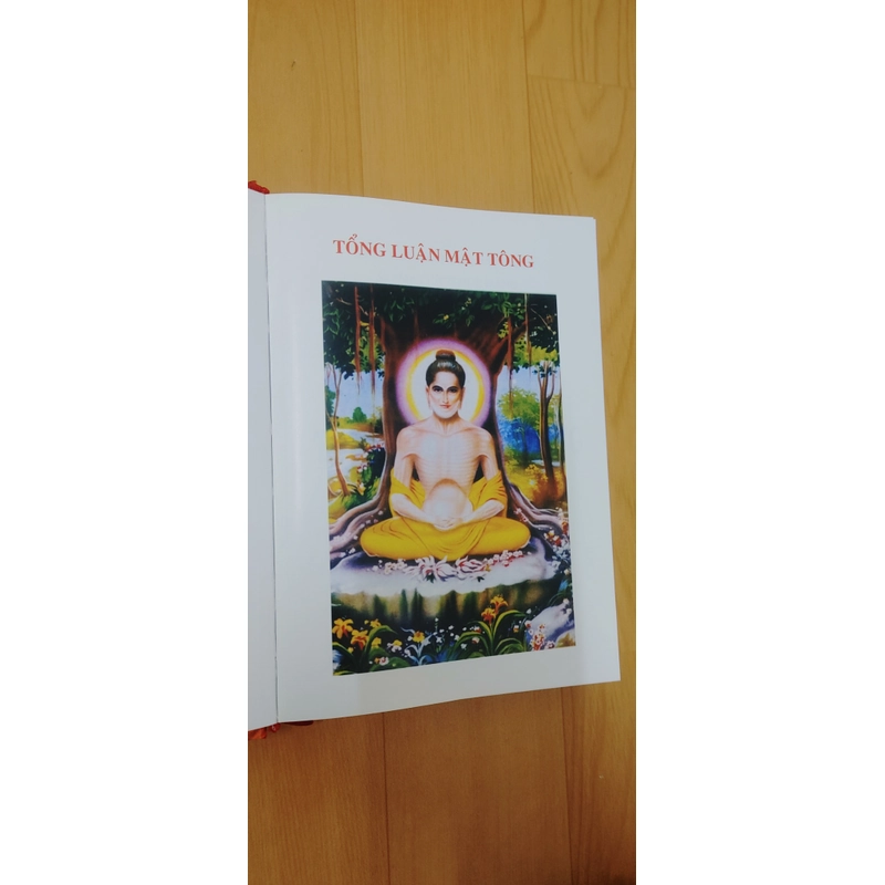 TỔNG LUẬN MẬT TÔNG  521551