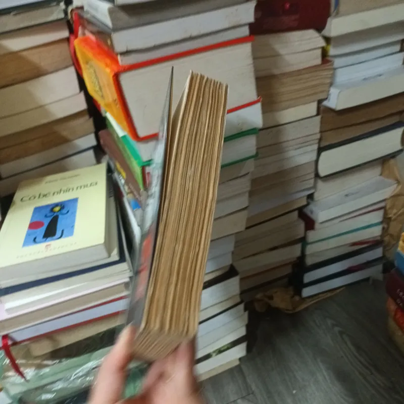 Bí mật gia đình ho Tống -Lương Tinh Lượng 933899