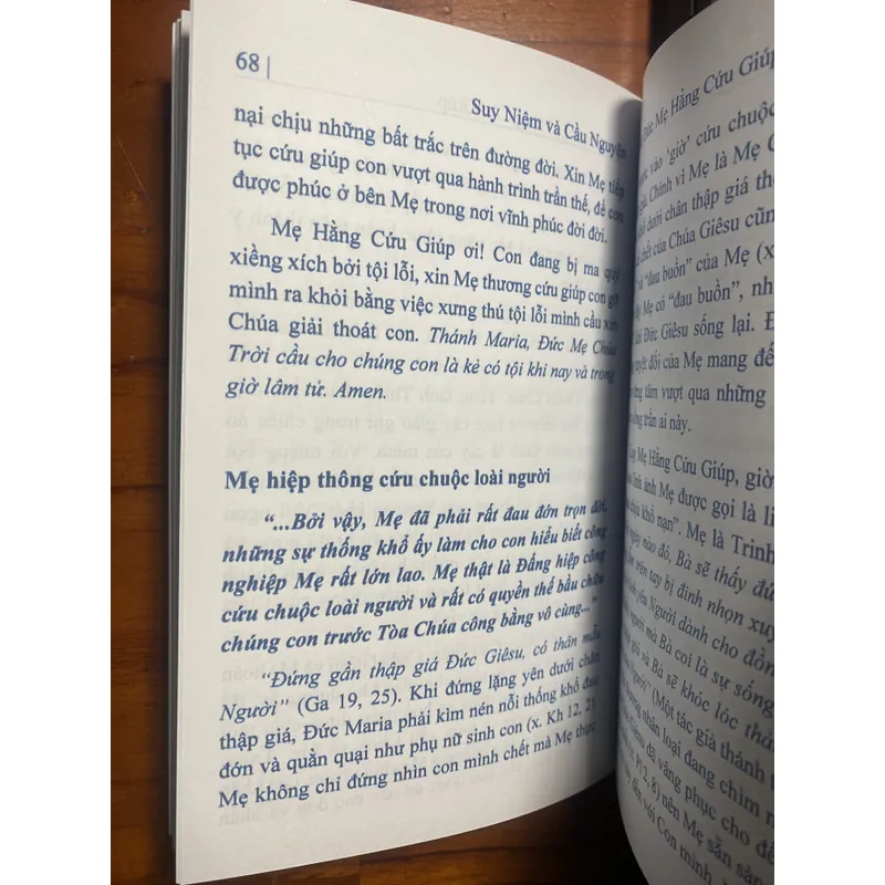 Suy niệm và cầu nguyện kính Đức Mẹ Hằng Cứu Giúp 732969