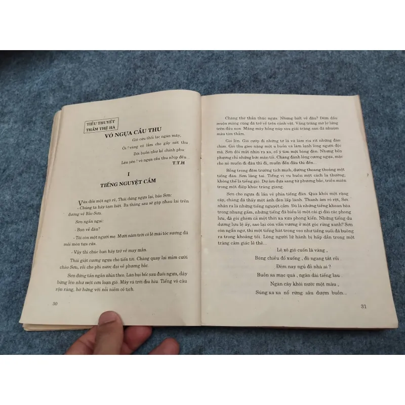 THẨM THỆ HÀ: THÂN THẾ VÀ VĂN NGHIỆP 936837