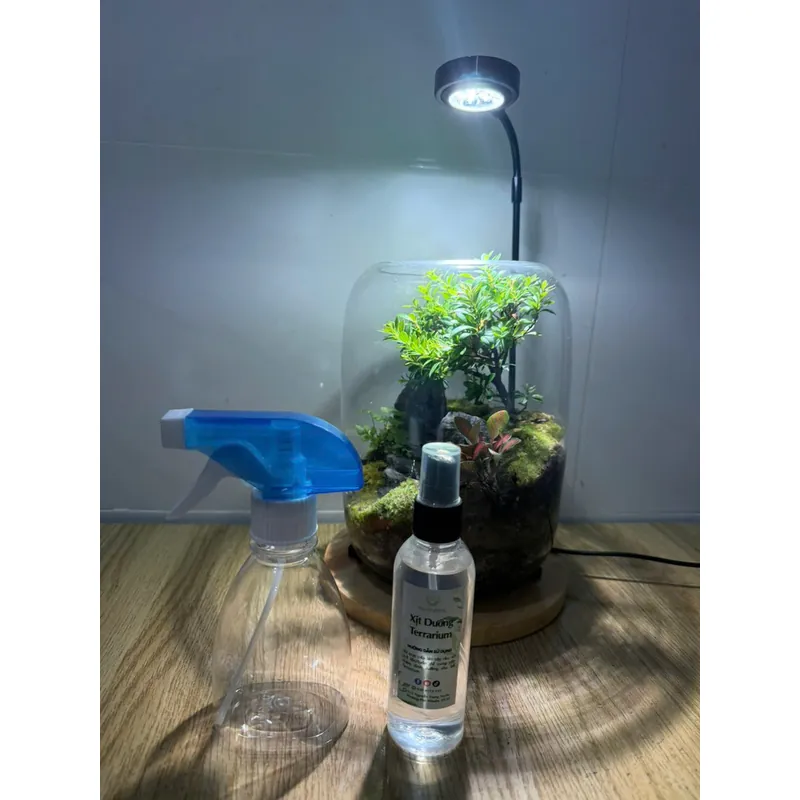 Bể terrarium nhà Xanh Zone 1063219
