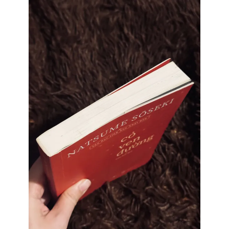 Cỏ ven đường 999175