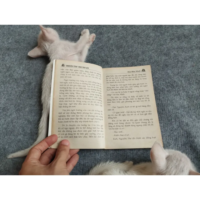 "CHUYỆN TÌNH" NHÀ THƠ LỚP - MAI BỬU MINH 567793