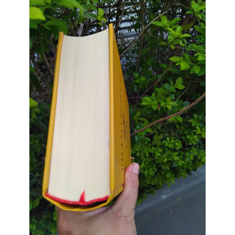 Sáng tạo và giao lưu của GS Phạm Vĩnh Cư 972237