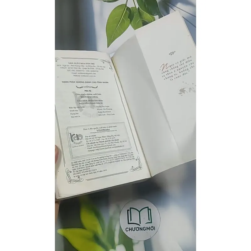 Hạnh phúc không dành cho tình nhân - Mèo Xù 694951