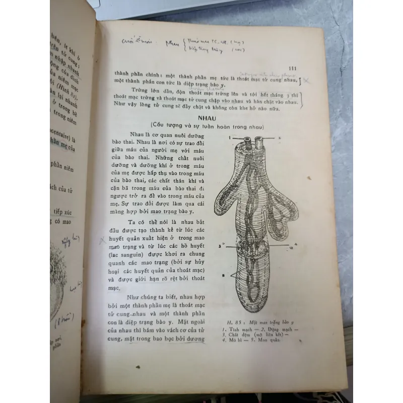 SẢN KHOA - BÁC SĨ: ĐẶNG HOÁ LONG 592052