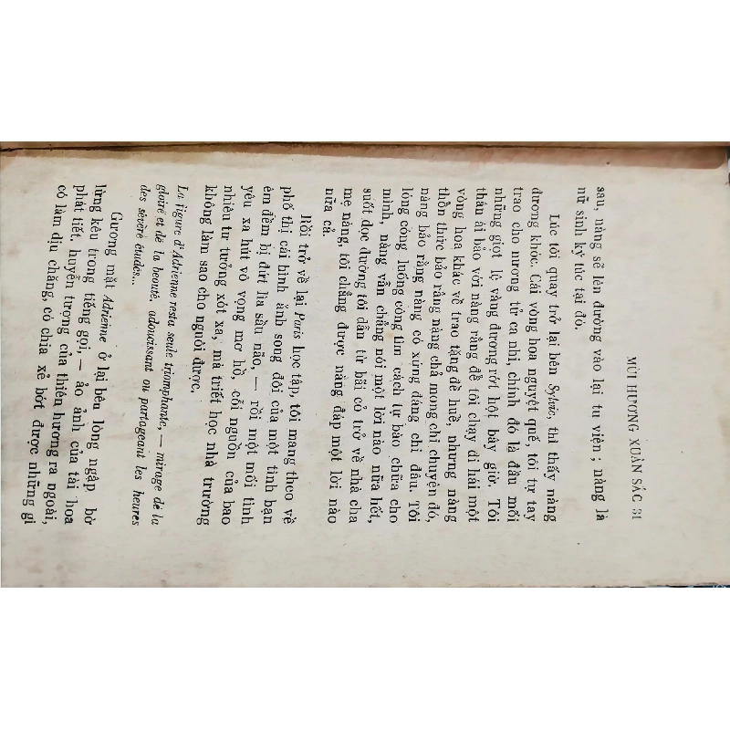 Mùi Hương Xuân Sắc - Gerard De Nerval ( Bản Dịch Bùi Giáng ) 304382