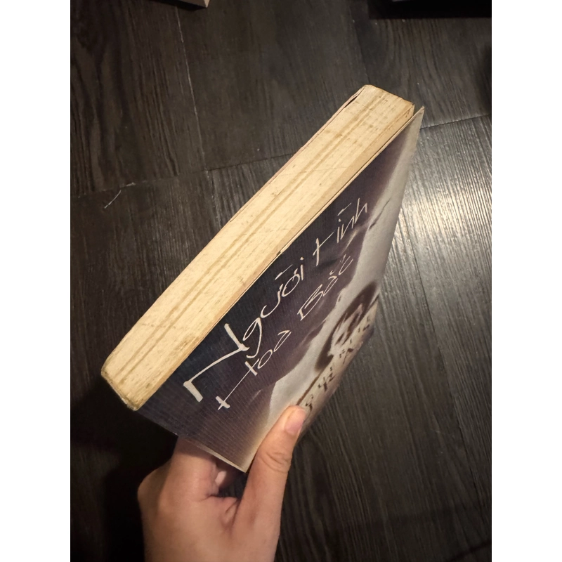 Người tình hoa bắc 460017