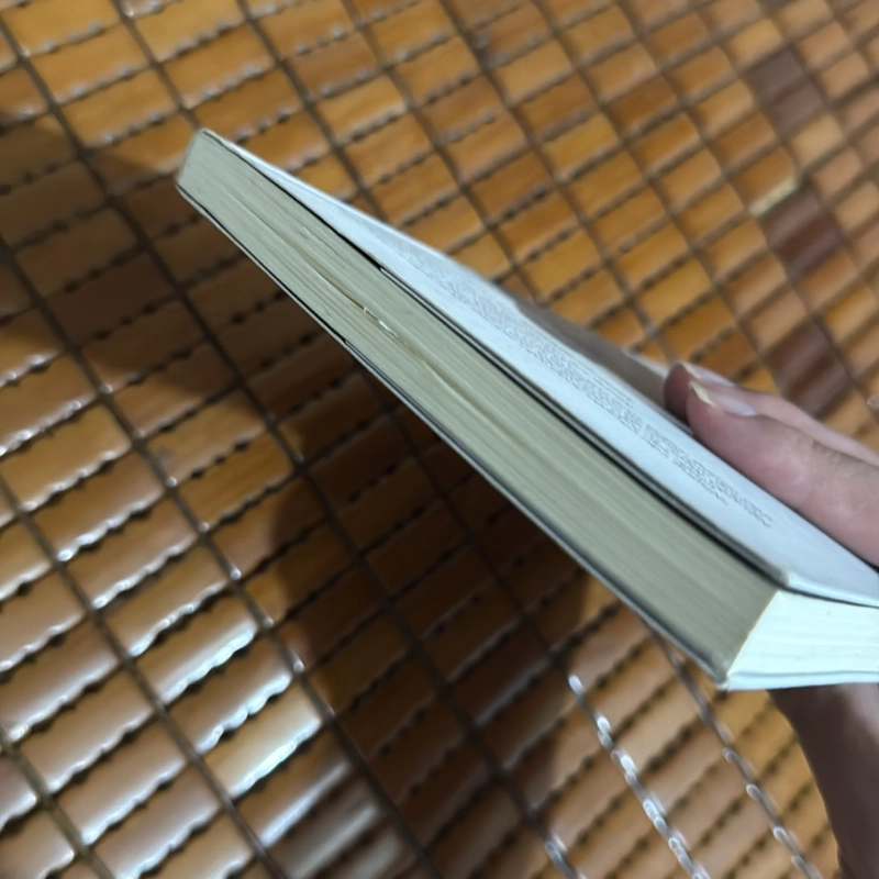 Cánh đồng bất tận - Nguyễn Ngọc Tư 507574