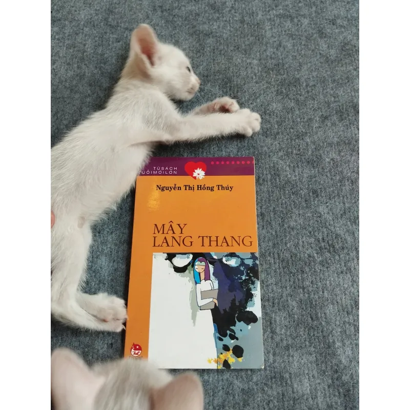 MÂY LANG THANG - NGUYỄN THỊ HỒNG THÚY 567783