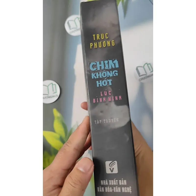 [MIỄN PHÍ BỌC SÁCH] Chim Không Hót Lúc Bình Minh - Trúc Phương 798295