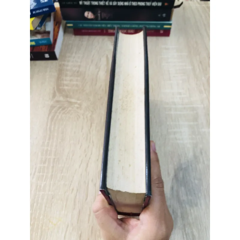 NGƯỜI VIỆT NAM Ở NƯỚC NGOÀI – Trần Trọng Đăng Đàn 925774