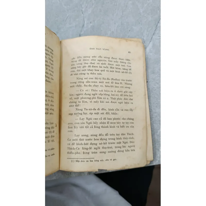 ÁNH ĐẠO VÀNG - VÕ ĐÌNH CƯỜNG 755183