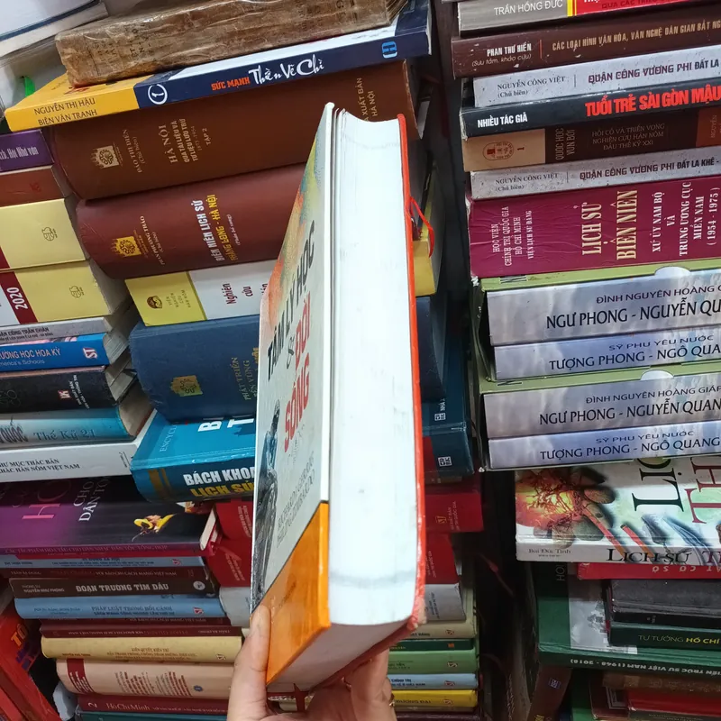 Tâm Lý Học Và Đời Sống- Richard J.Gerrig Philip G.Zimbardo 675178