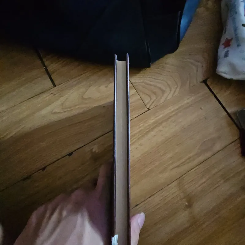 The Spiderwick Chronicles Diterlizzi and Black book 2 Giá 20k  602630