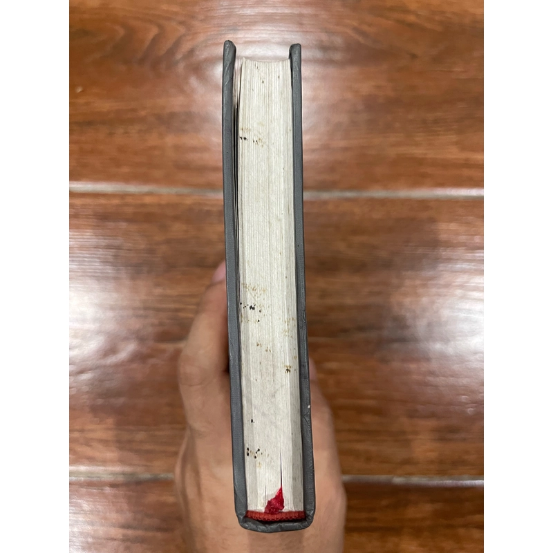 Minh triết của giới hạn tiểu luận - Ngô Tự Lập (7) 522264