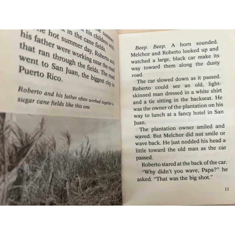 Roberto Clemente- We'll never forget you 753370