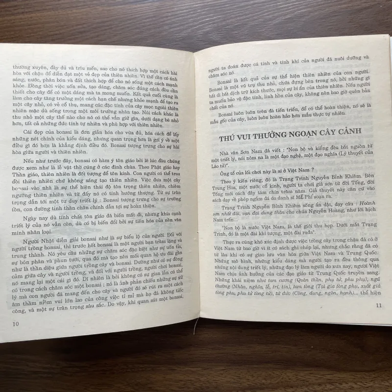 Bonsai 🌿🌿 961565