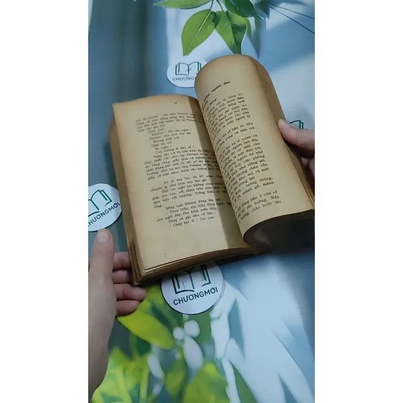 Tâm Hồn Cao Thượng (1989) 713894