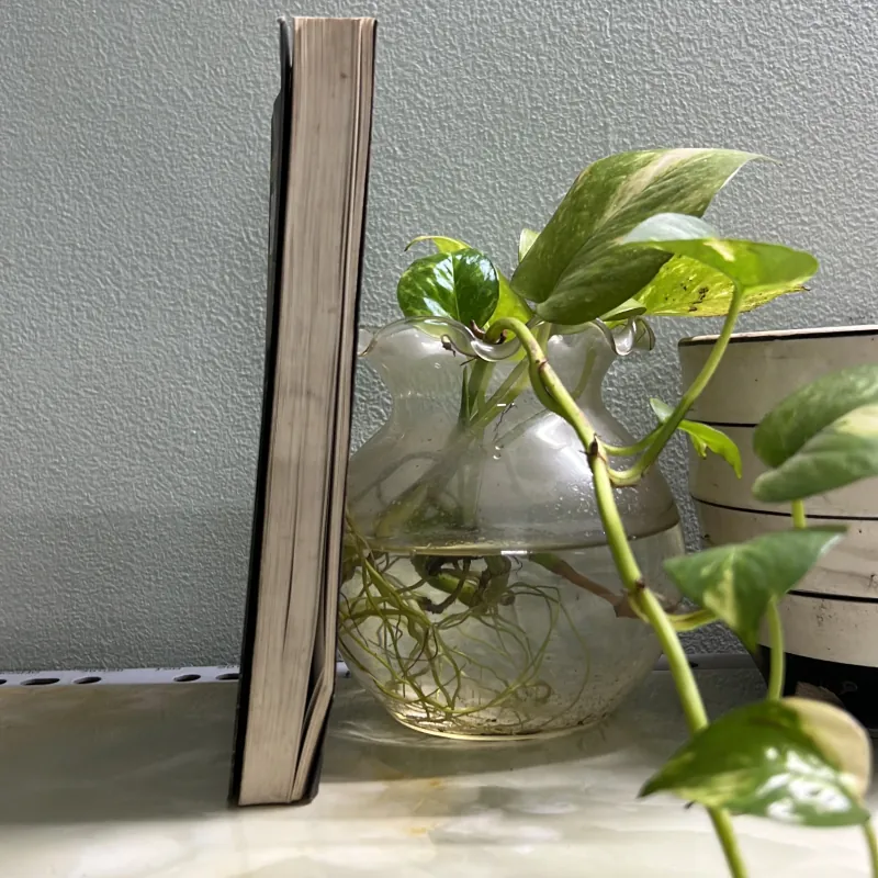 Nhật ký Đặng Thuỳ Trâm 763056