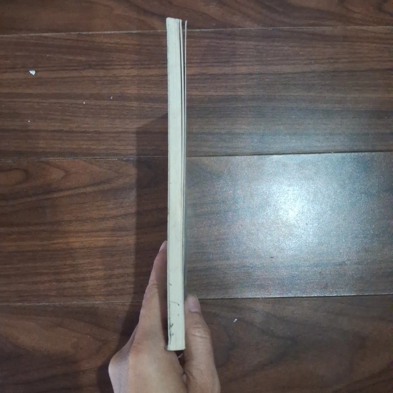 Khu mộ hắc ông 526279