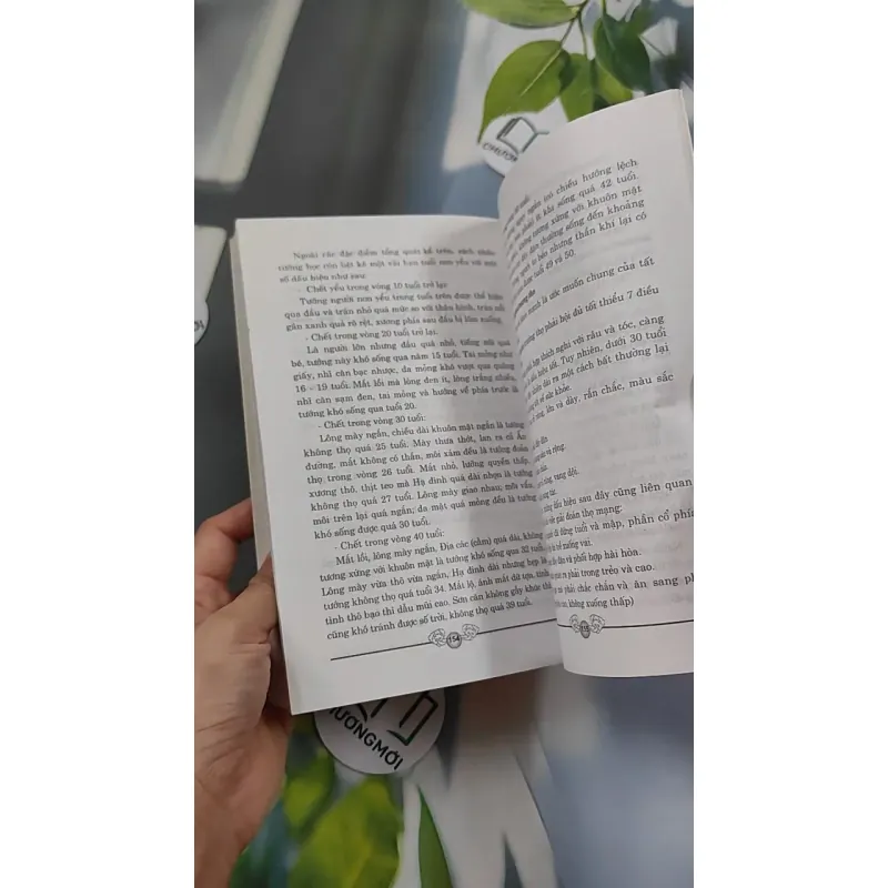 Giải Mã Nốt Ruồi - Mê Linh 776116