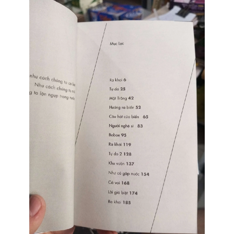 Như Cá Gặp Nước - Chanhyuk Lee 2021 mới 90% Tiểu Thuyết HCM1004 1007731