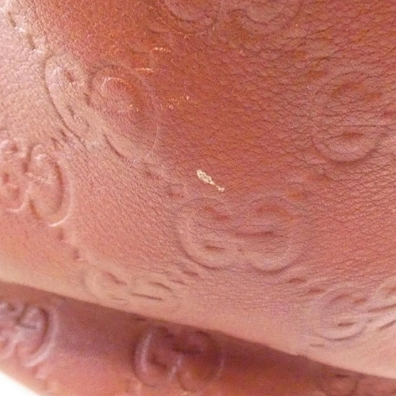 Gucci 207291 Túi - Hàng hiệu Chính hãng 805674