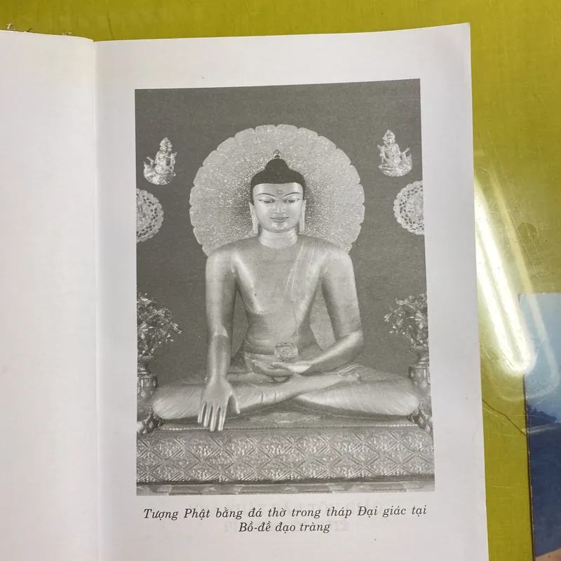 Truyện Vua A Dục - Tam Tạng An Pháp Khâm dịch hán ngữ - Thích Tuệ Thông Việt dịch 605505