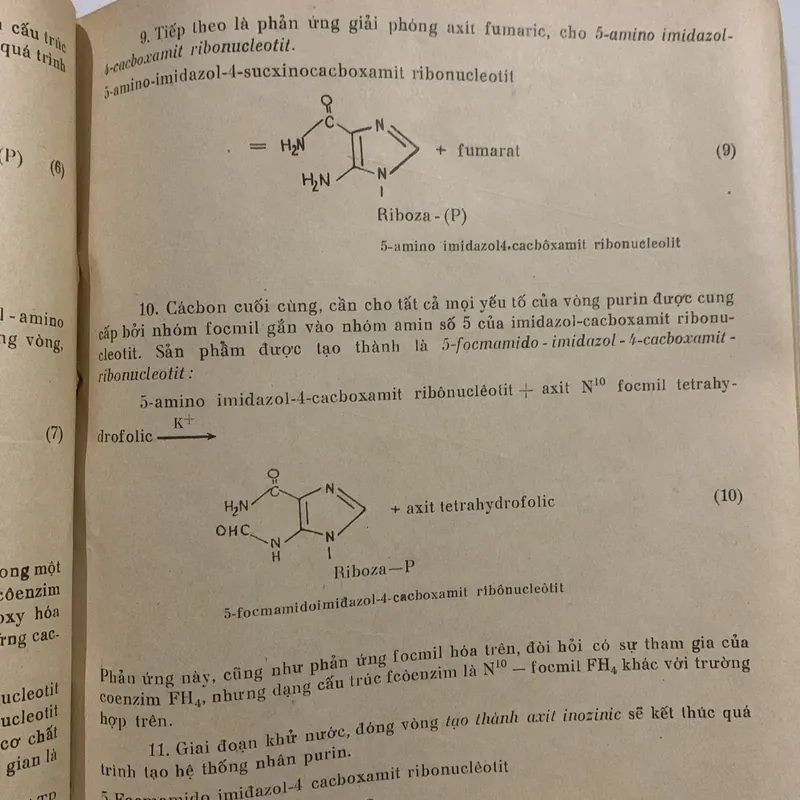 Sinh hoá đại cương, sách khổ to 709156