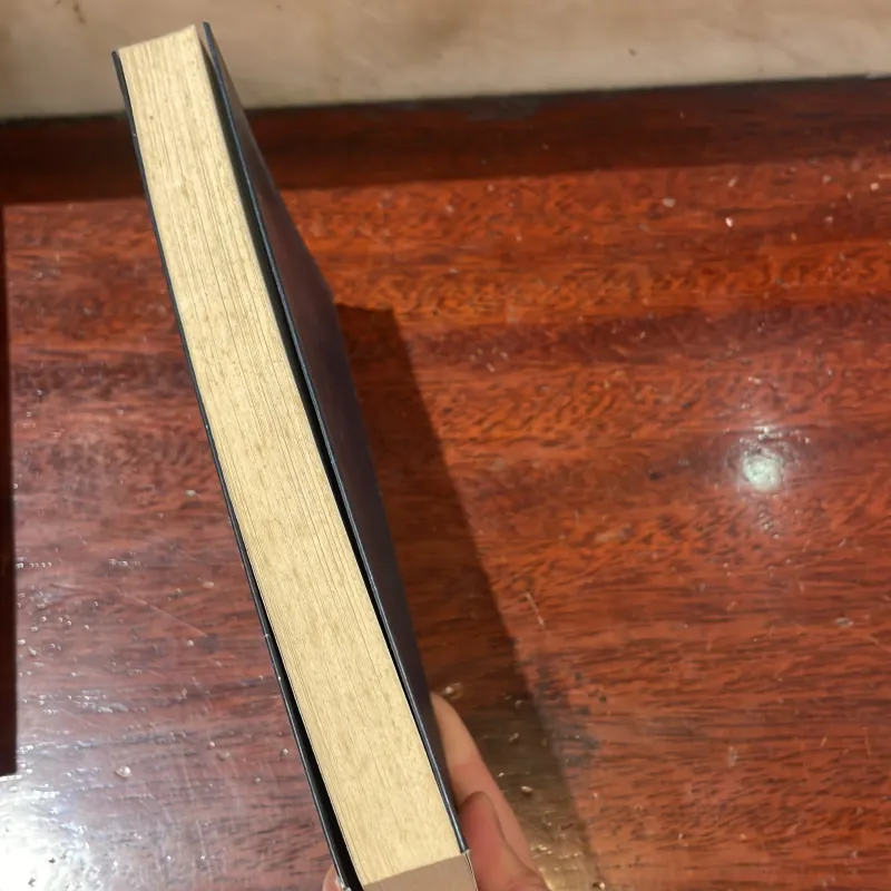 BIÊN NIÊN CÔ ĐƠN - nguyễn Ngọc Thạch  1029452