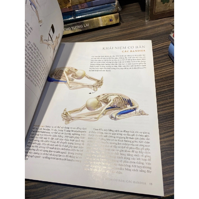 Giải phẫu các tư thế: Mở hông và gập người phía trước 1032041