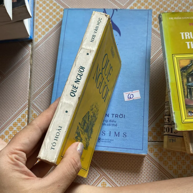 Quê Người Tô Hoài  592889