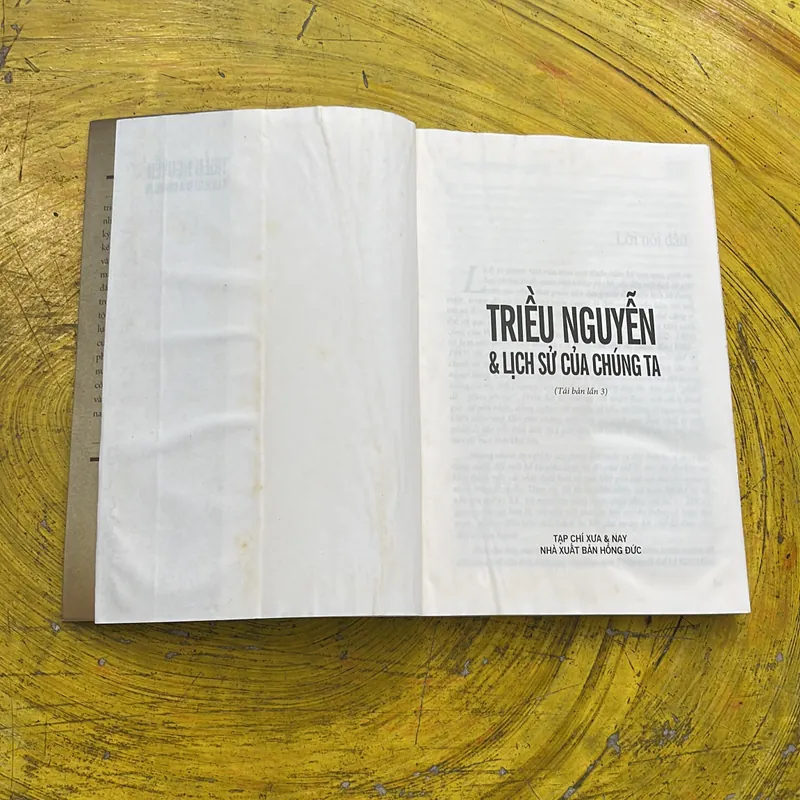 TRIỀU NGUYỄN VÀ LỊCH SỬ CỦA CHÚNG TA nhiều tác giả 689632